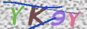 Kontrolní text