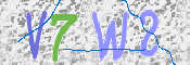 Kontrolní text