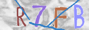 Kontrolní text